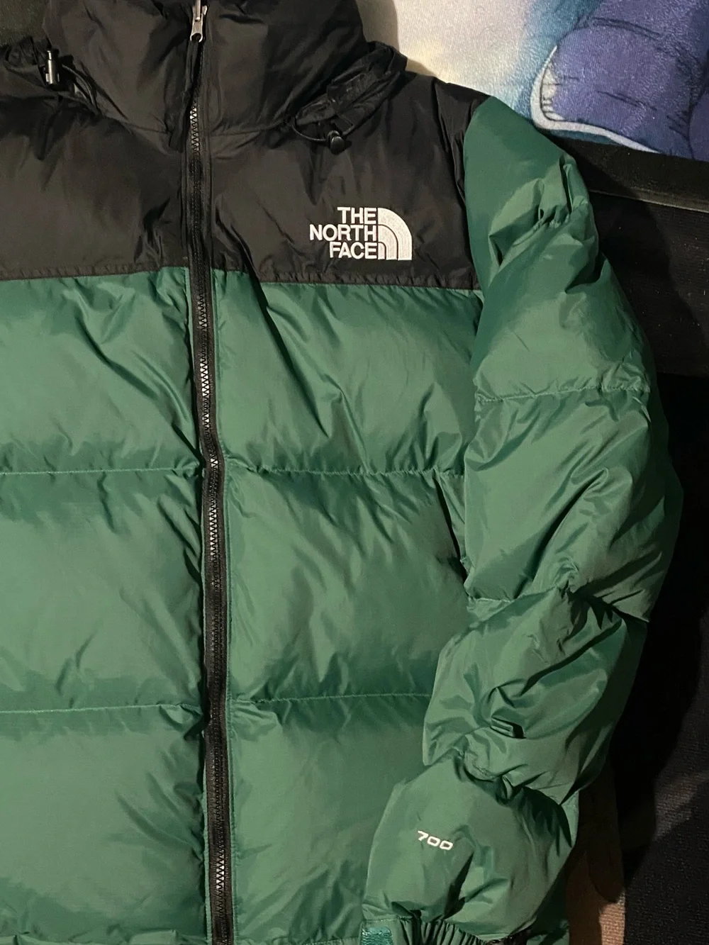The North Face Green and Black Nuptse-Style Puffer Jacket